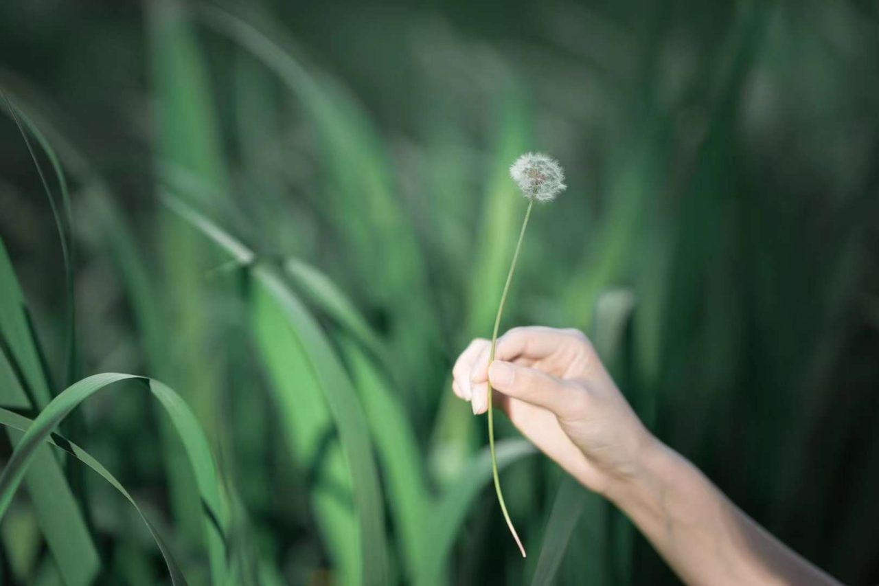 节气·天淡纸鸢舞